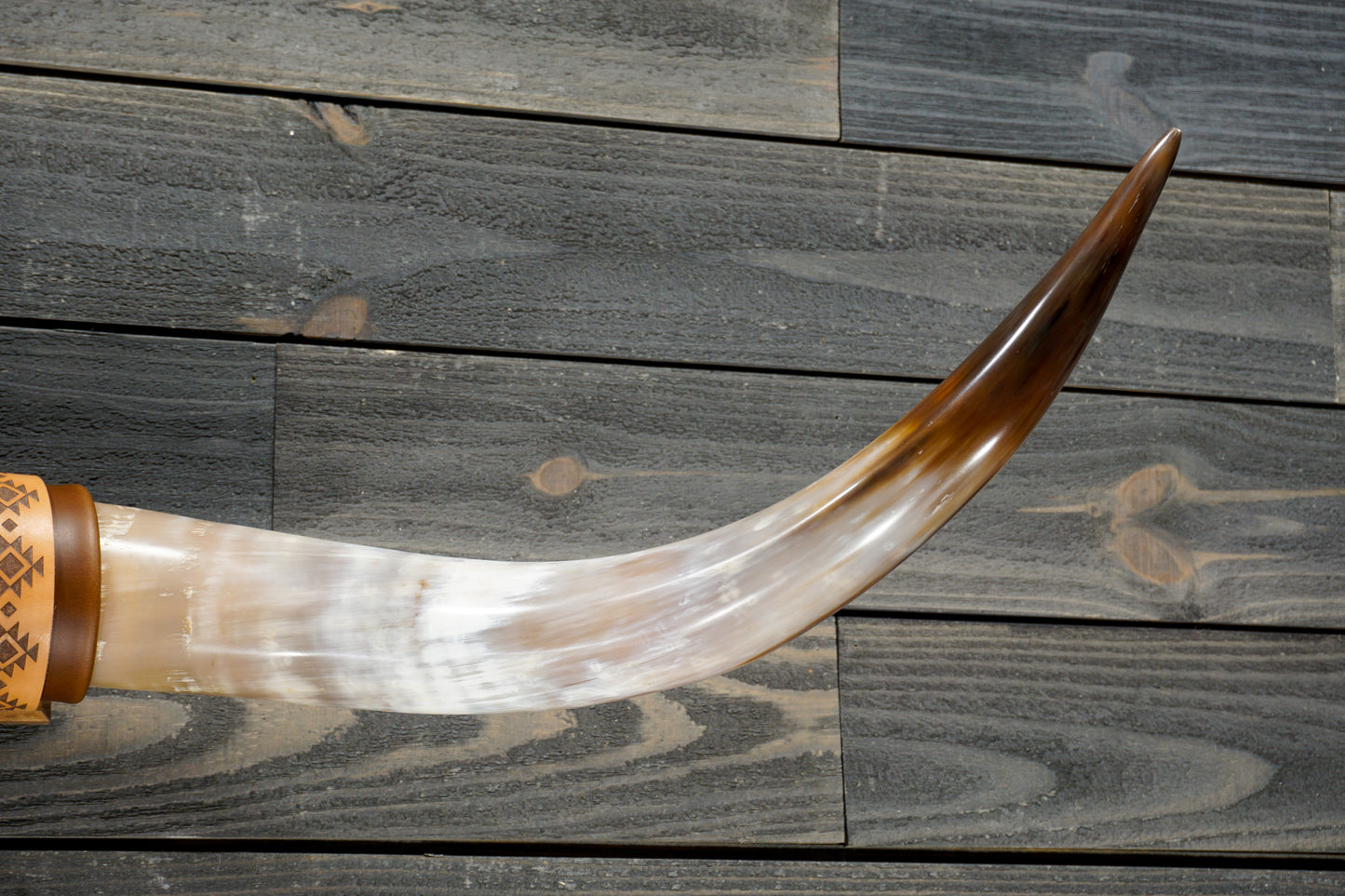 4' 2" Longhorn Wall Mount #285