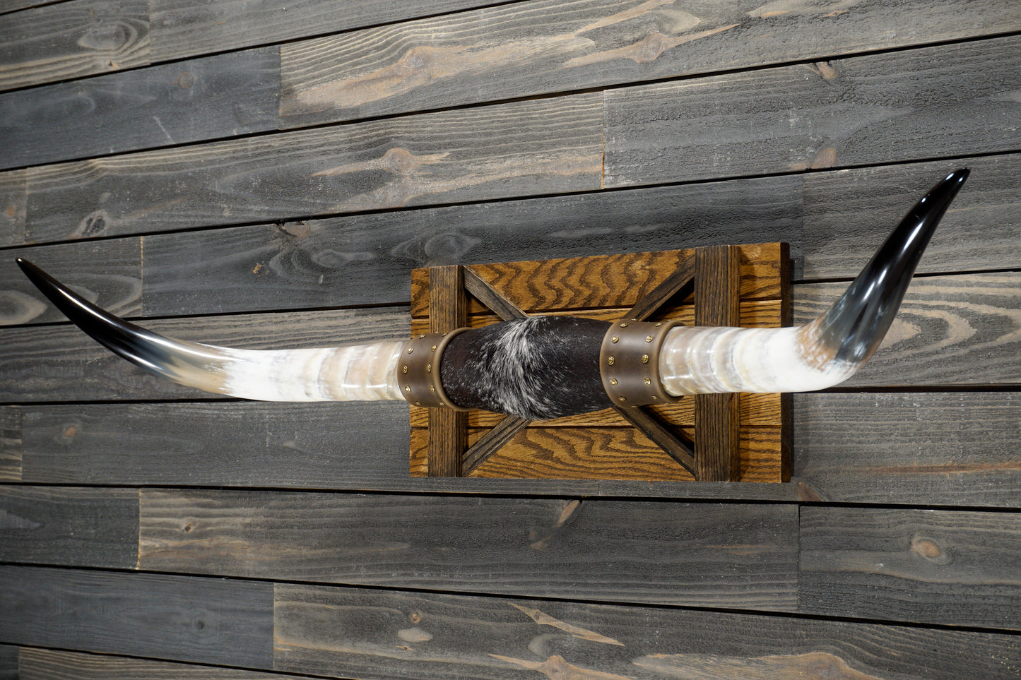 4' 11" Longhorn Wall Mount #289