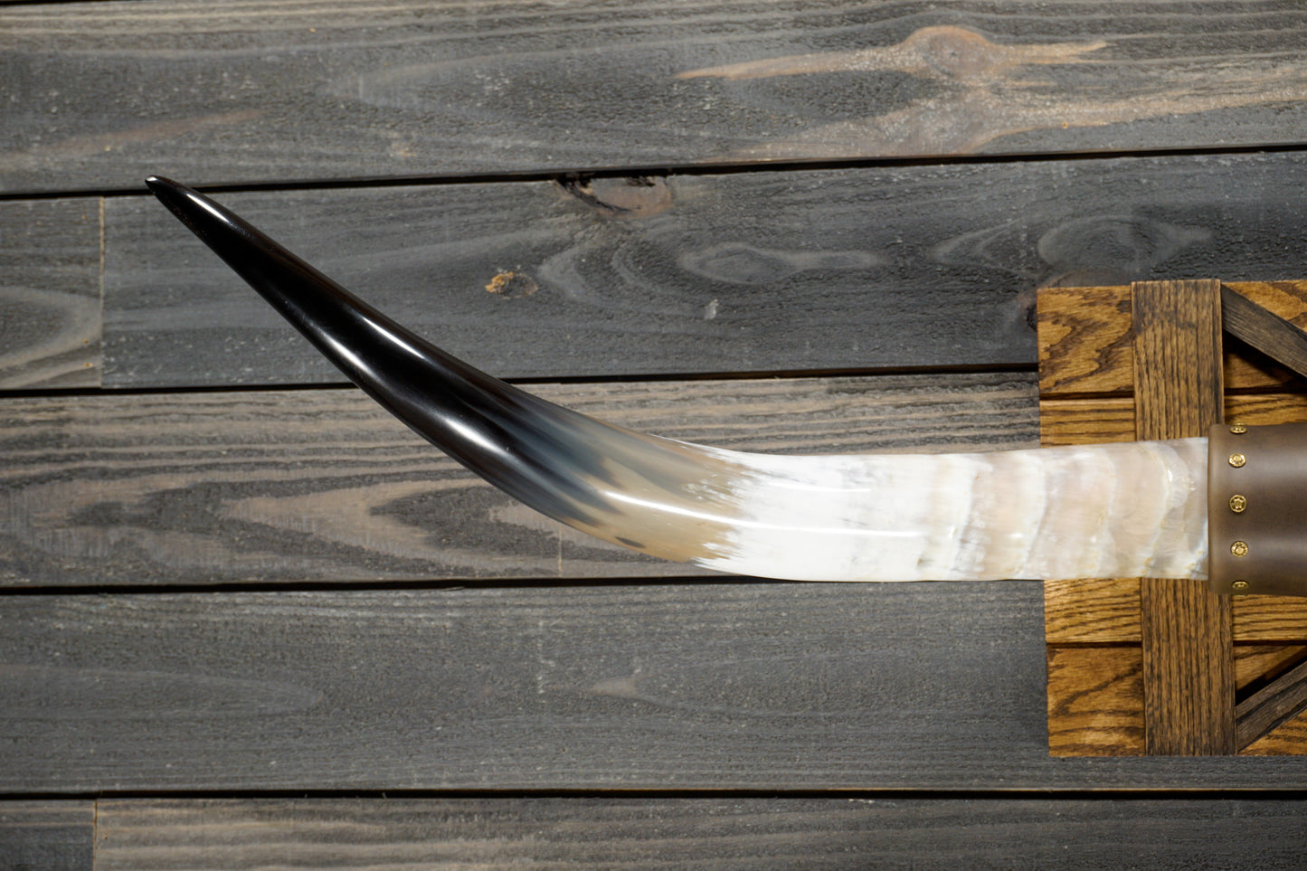4' 11" Longhorn Wall Mount #289