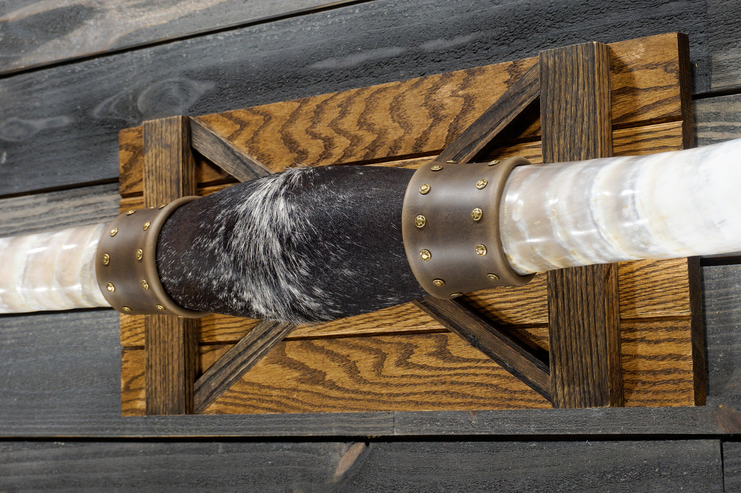4' 11" Longhorn Wall Mount #289