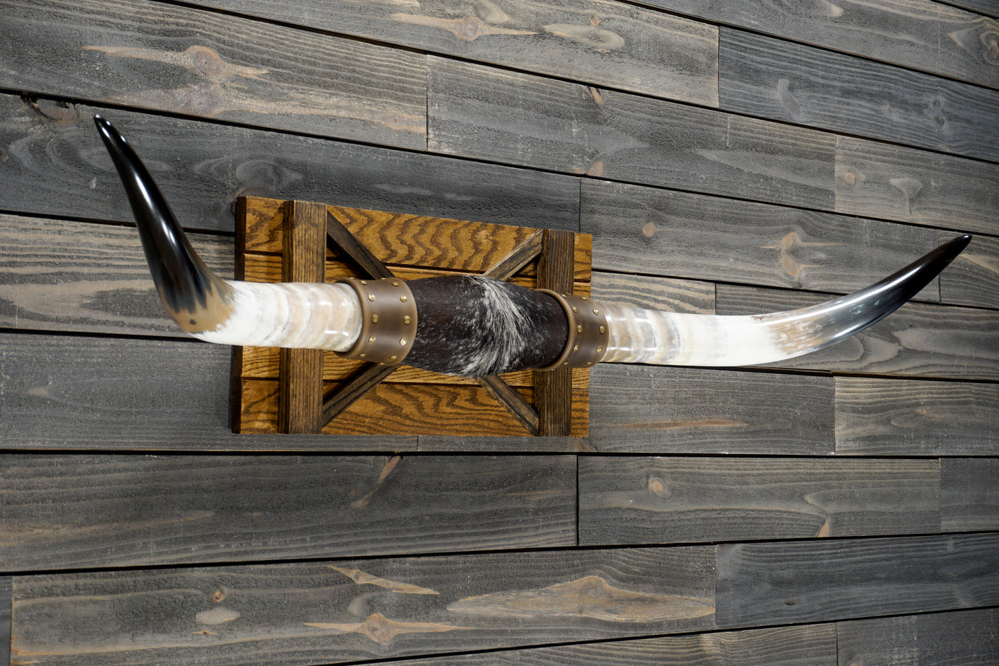 4' 11" Longhorn Wall Mount #289