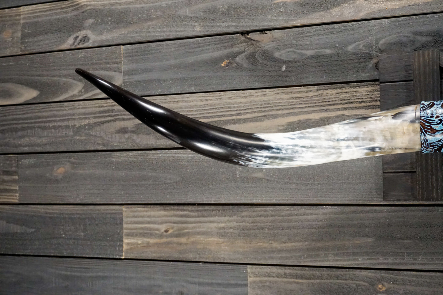 5' 8" Longhorn Wall Mount #254