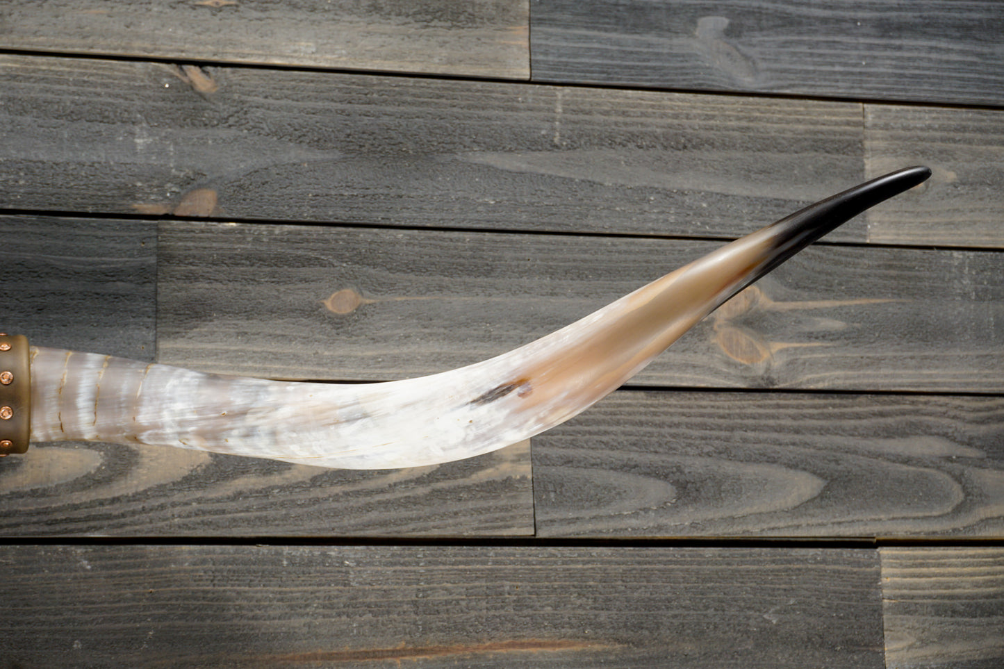 5' 5" Longhorn Wall Mount #277