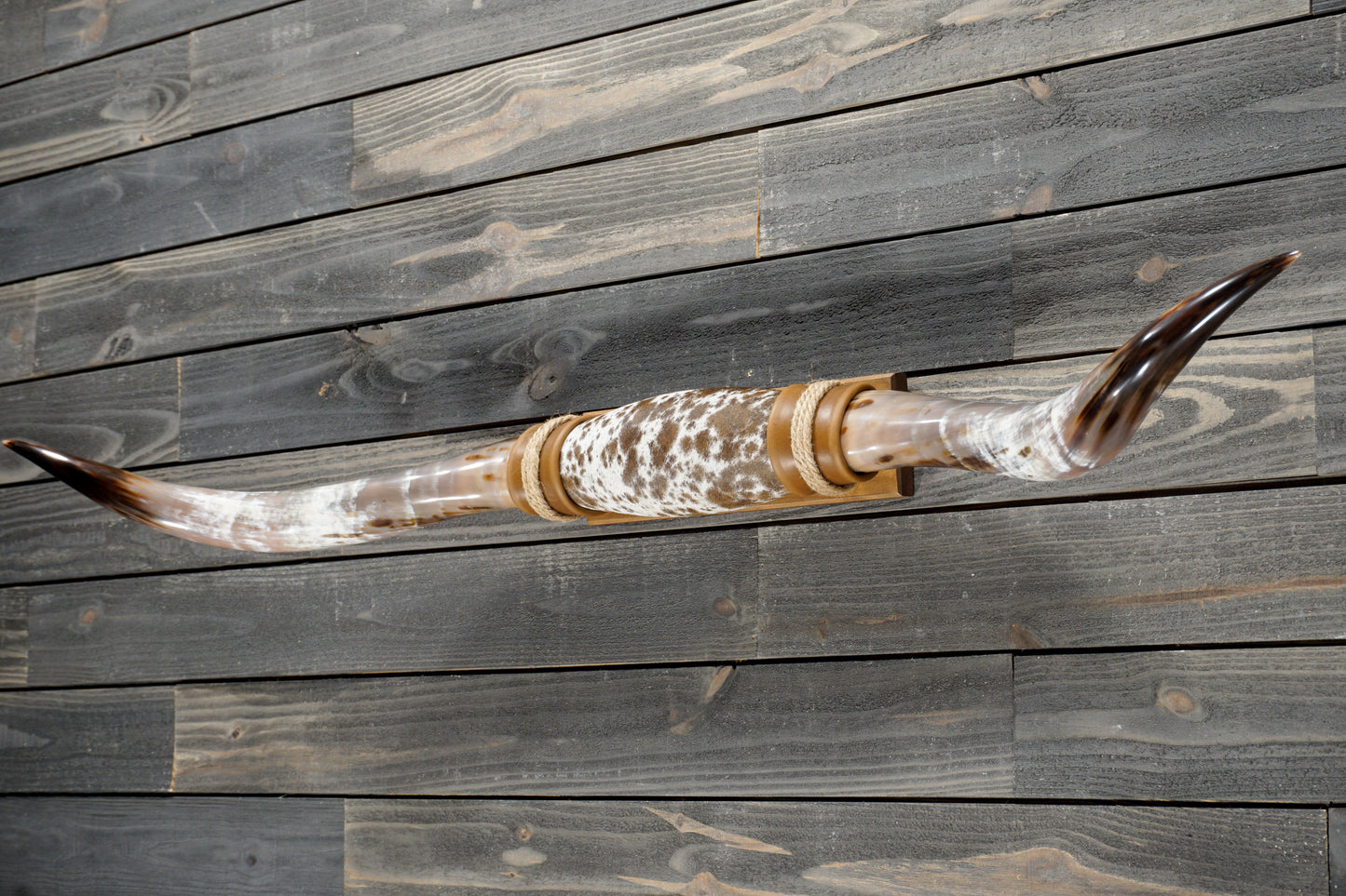 5' 3" Longhorn Wall Mount #373