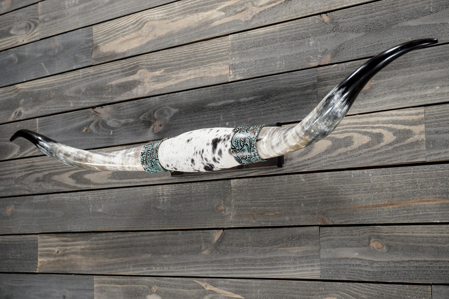 5' 1" Longhorn Wall Mount #379
