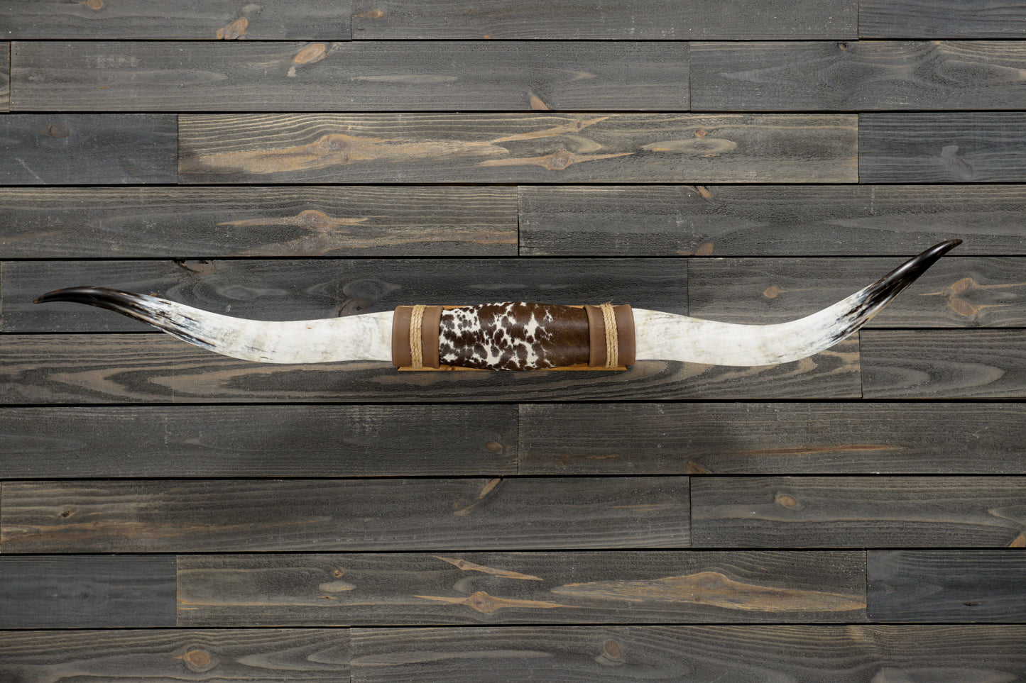 5' 1" Longhorn Wall Mount #279