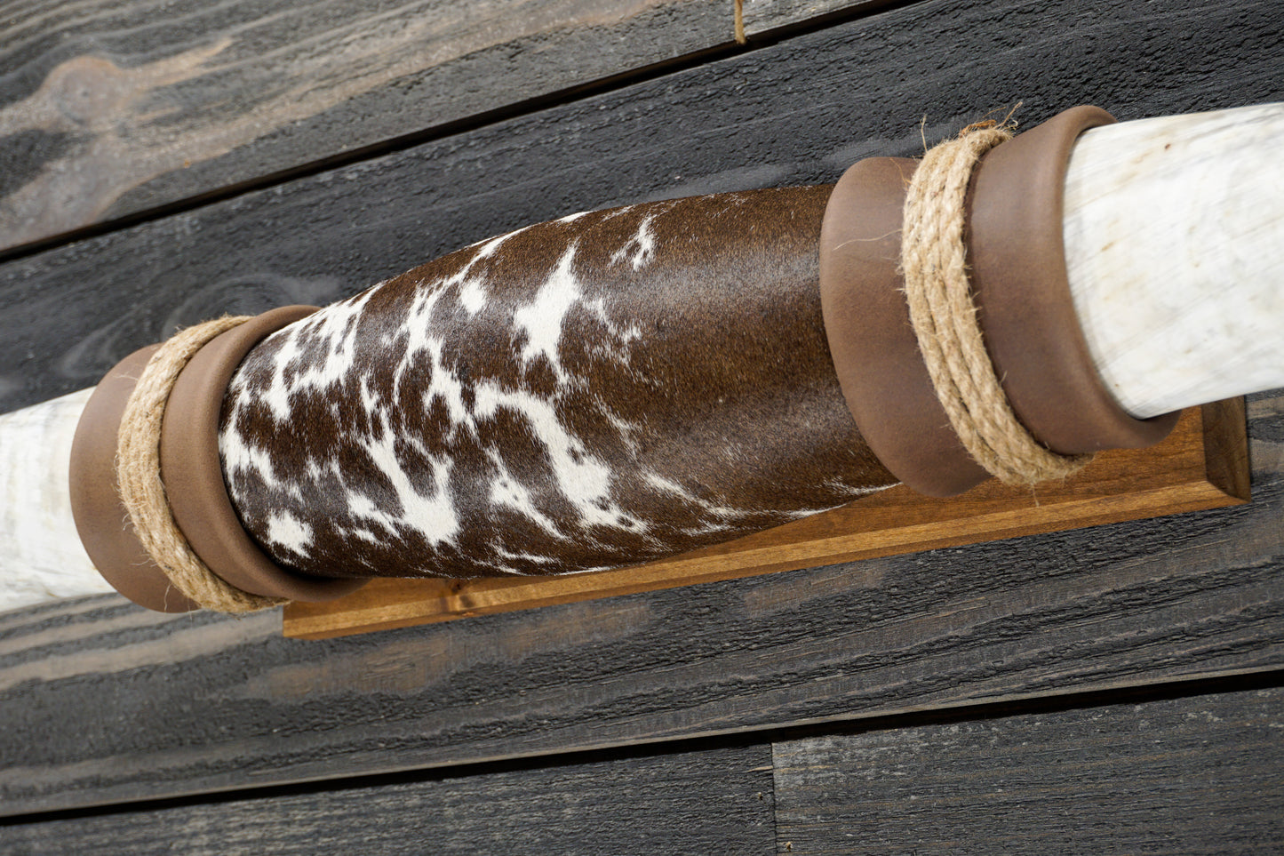 5' 1" Longhorn Wall Mount #279