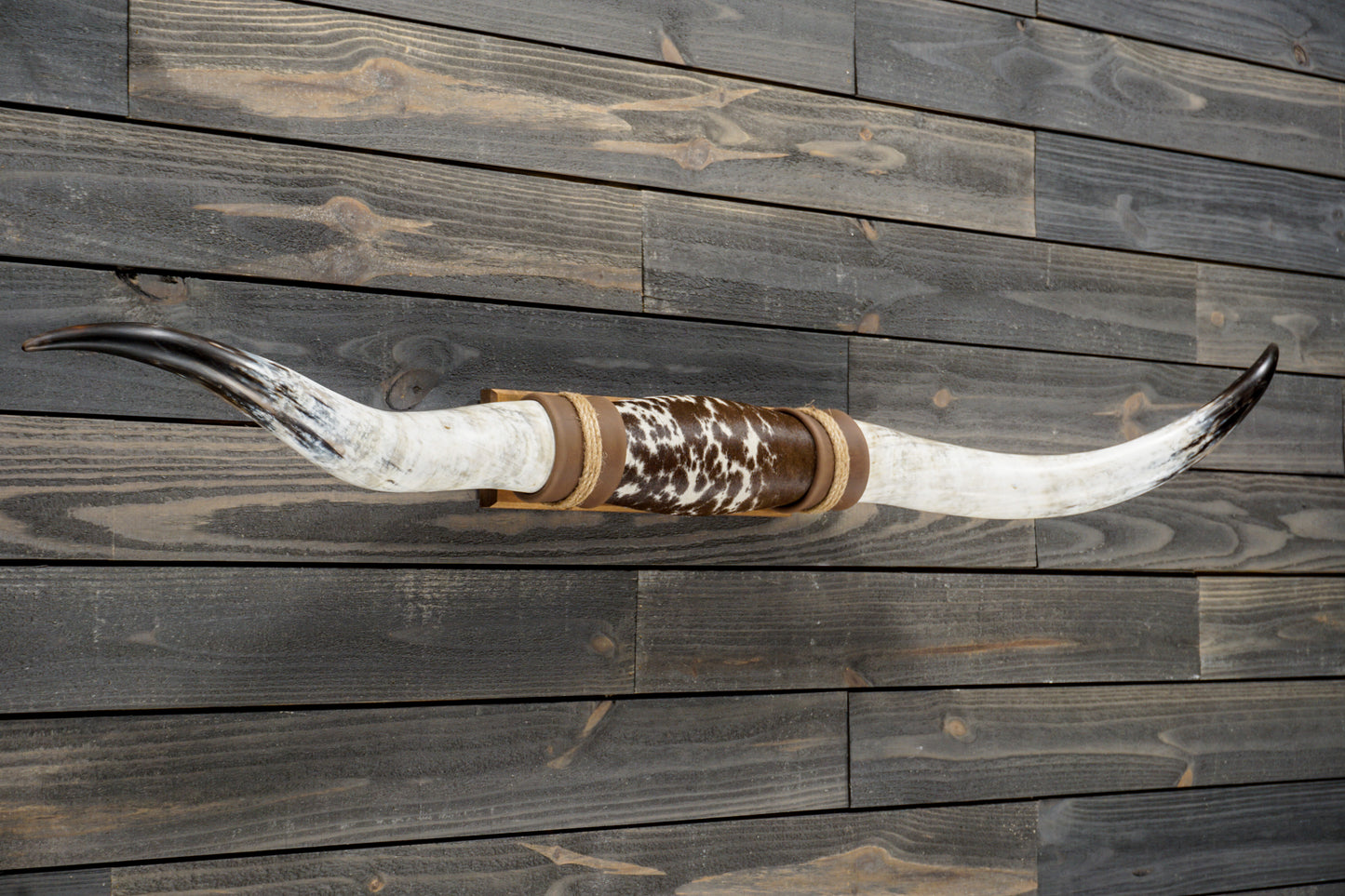 5' 1" Longhorn Wall Mount #279