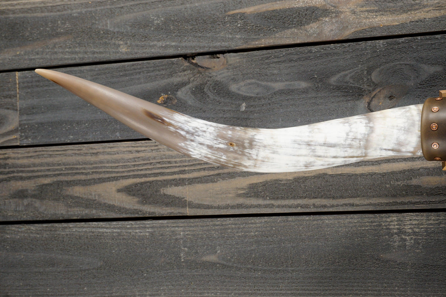 4' 6" Longhorn Wall Mount #283
