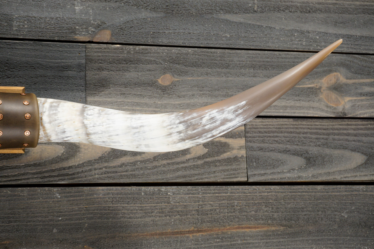 4' 6" Longhorn Wall Mount #283