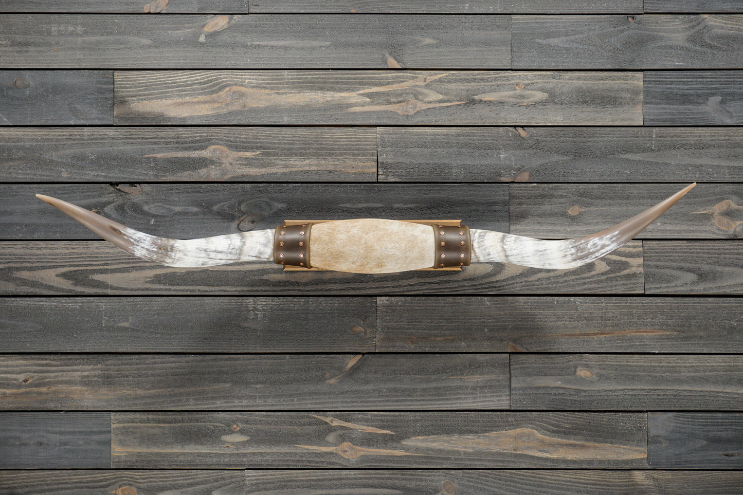 4' 6" Longhorn Wall Mount #283