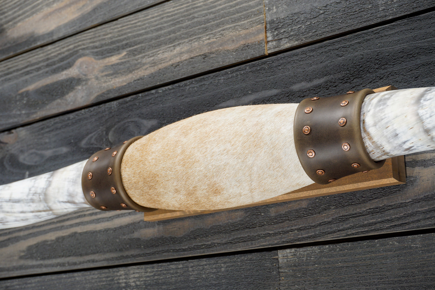 4' 6" Longhorn Wall Mount #283