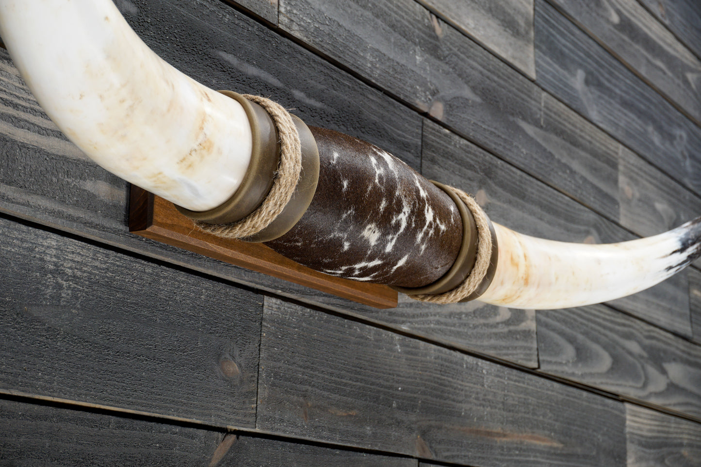 4' 10" Longhorn Wall Mount #360
