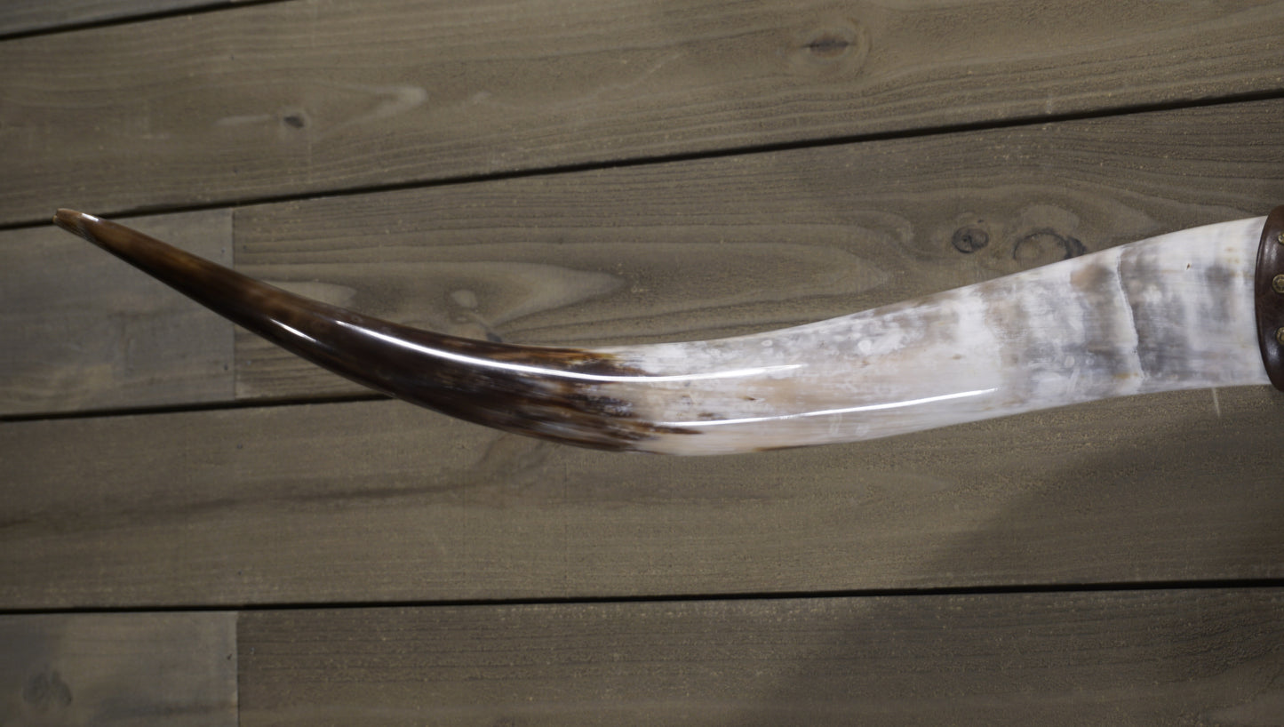 5' 0" Longhorn Wall Mount #237