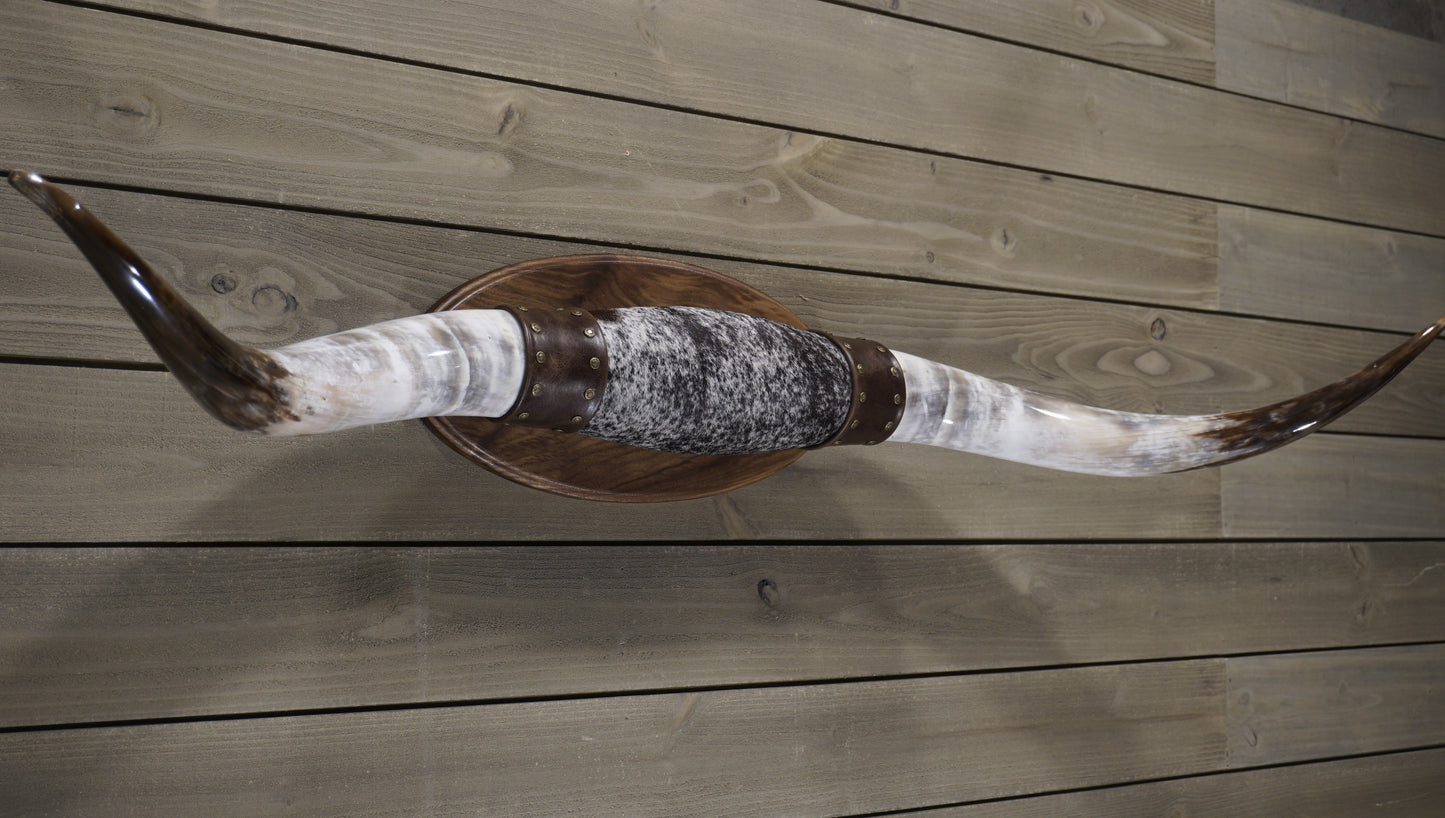 5' 0" Longhorn Wall Mount #237
