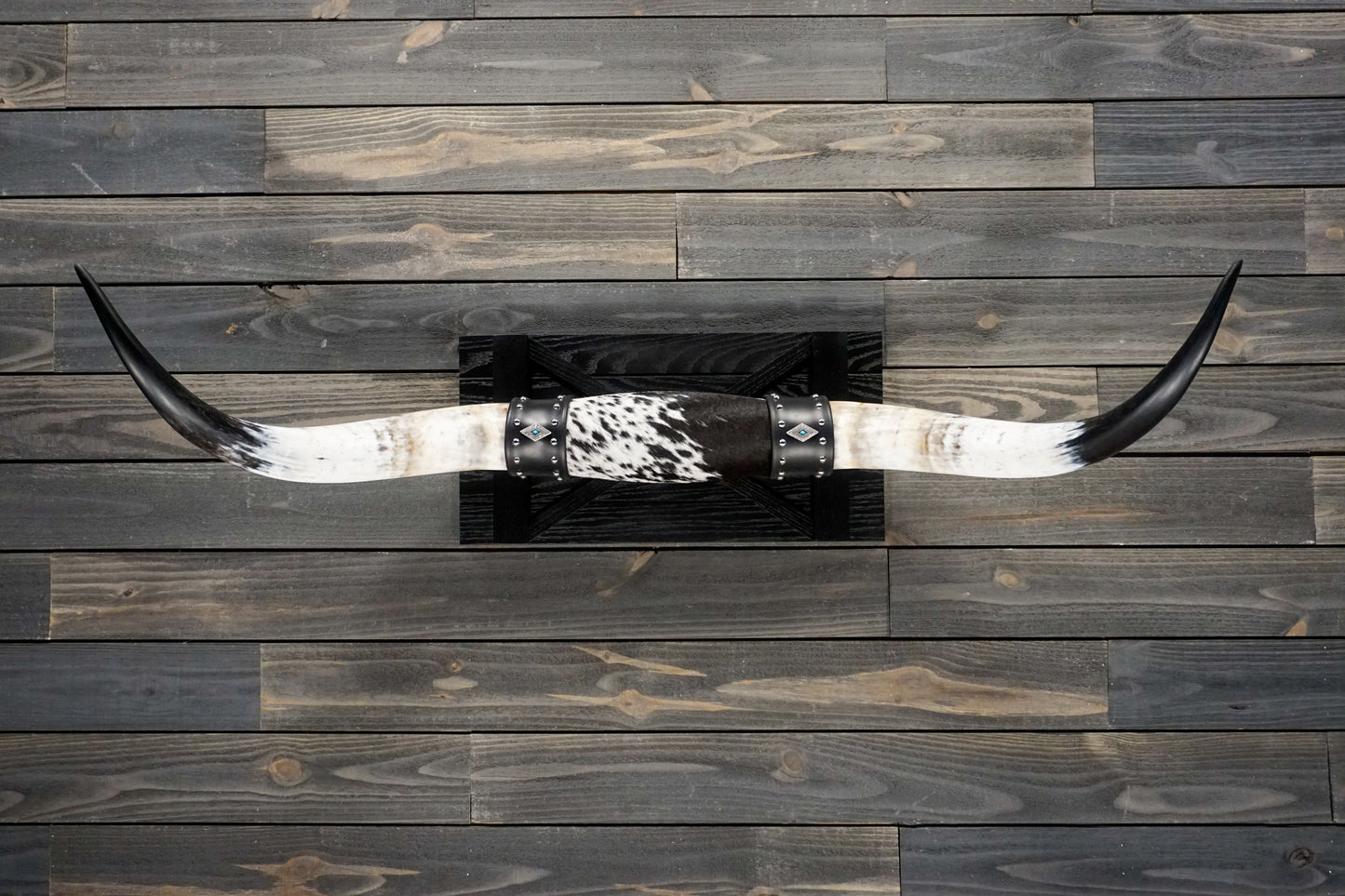 4' 2" Longhorn Wall Mount #251