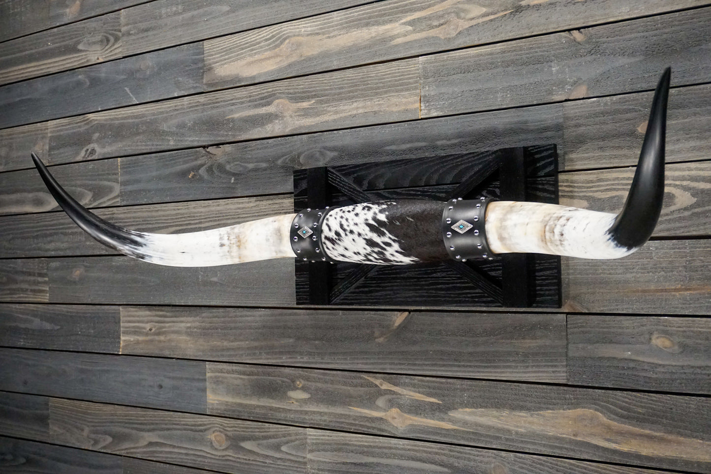 4' 2" Longhorn Wall Mount #251