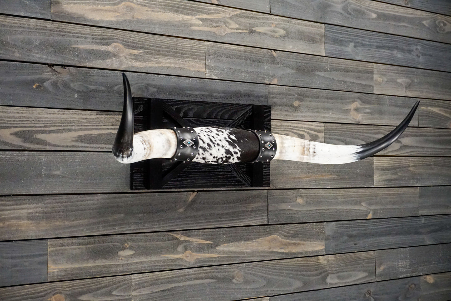 4' 2" Longhorn Wall Mount #251