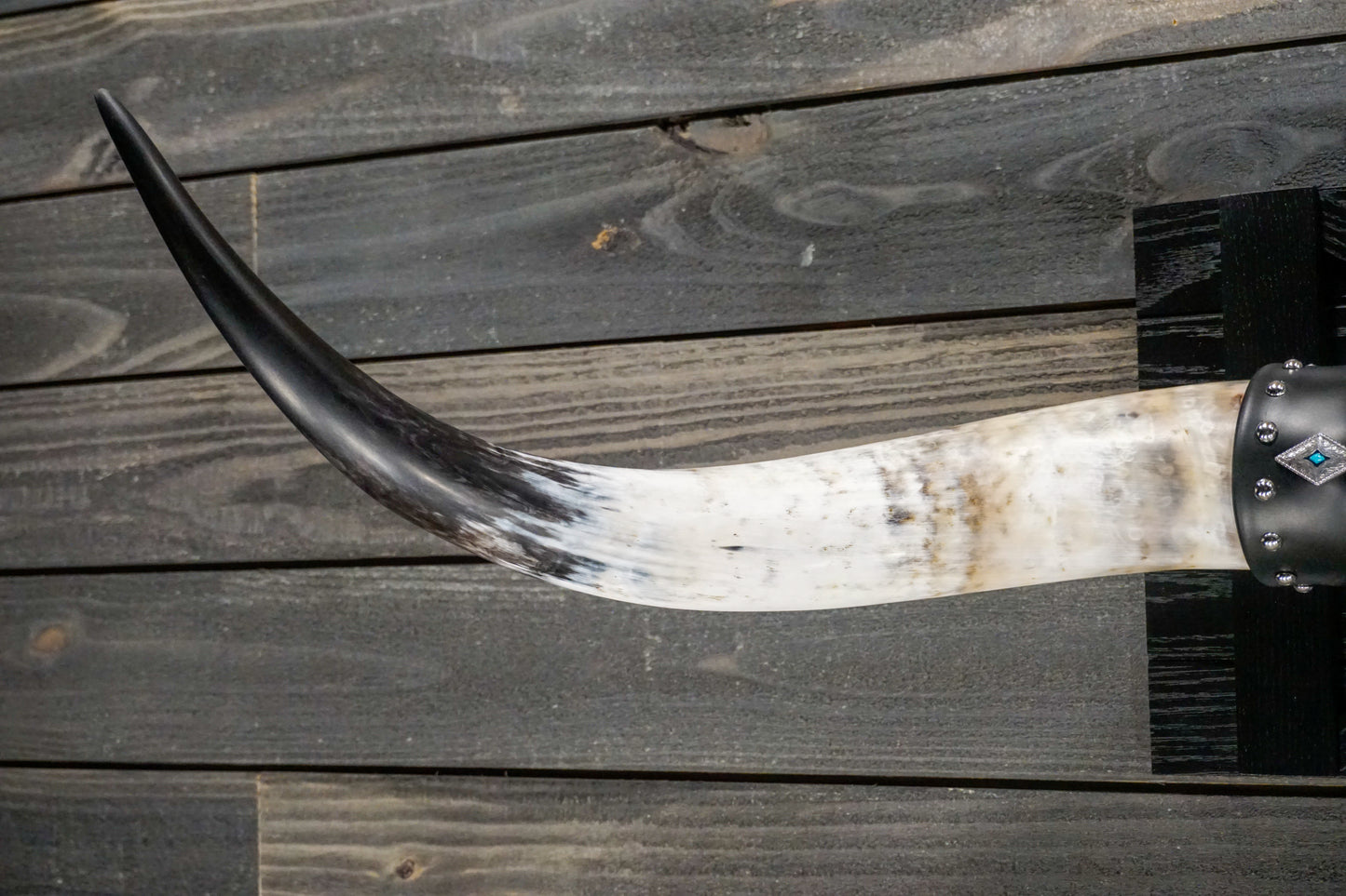 4' 2" Longhorn Wall Mount #251