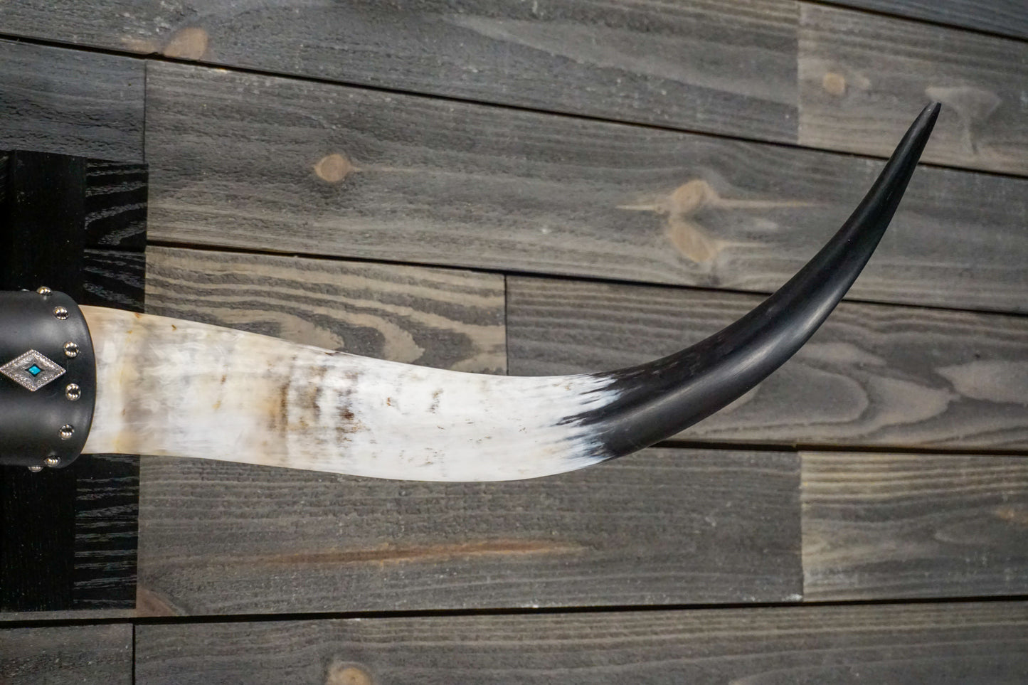 4' 2" Longhorn Wall Mount #251