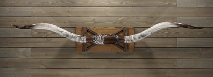 6' 11" Longhorn Wall Mount #212