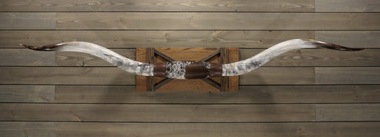 6' 11" Longhorn Wall Mount #212