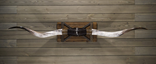 6'7" Longhorn Wall Mount #218