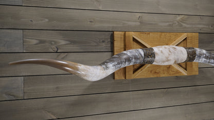 7'2" Longhorn Wall Mount #223