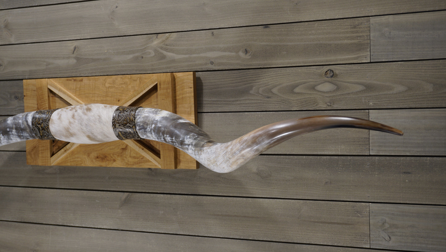 7'2" Longhorn Wall Mount #223