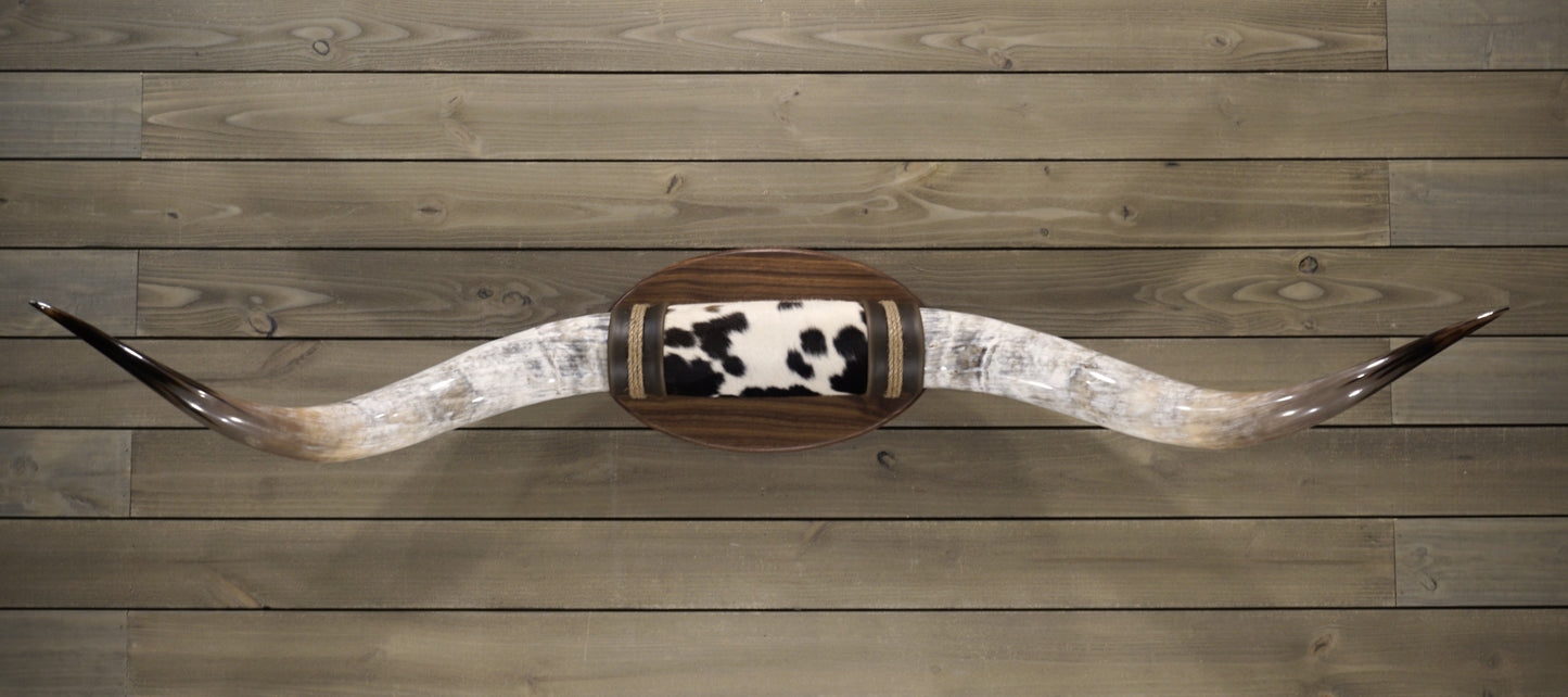 6' 1" Longhorn Wall Mount #224