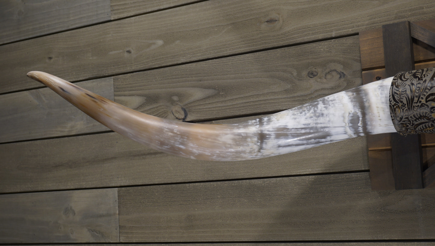 5' 4" Longhorn Wall Mount #235