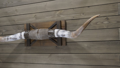 5' 4" Longhorn Wall Mount #235