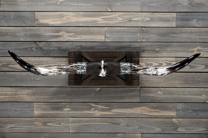 4' 11" Longhorn Wall Mount #296