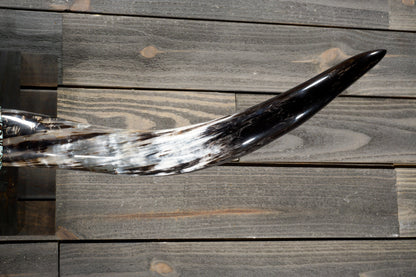 4' 11" Longhorn Wall Mount #296