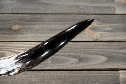 4' 11" Longhorn Wall Mount #296