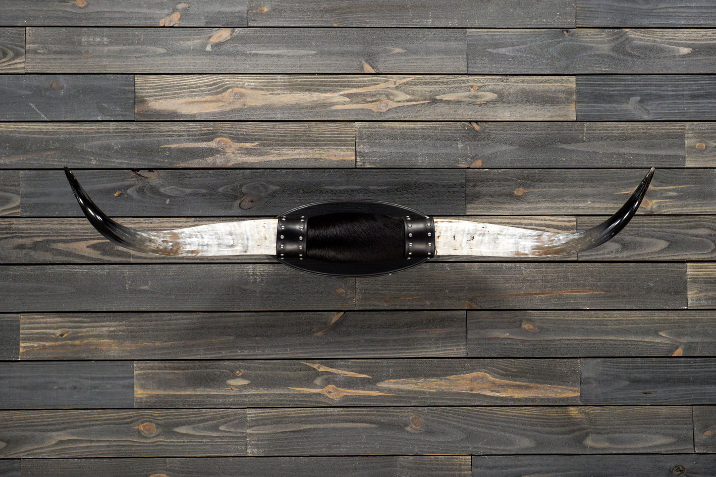 4' 7" Longhorn Wall Mount #232