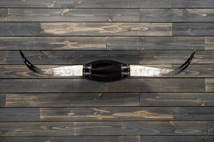 4' 7" Longhorn Wall Mount #232