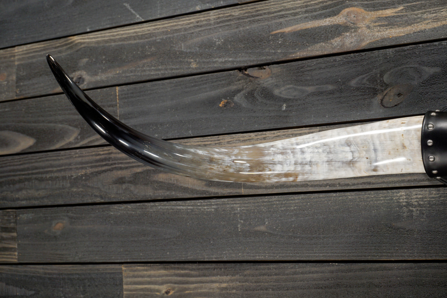 4' 7" Longhorn Wall Mount #232