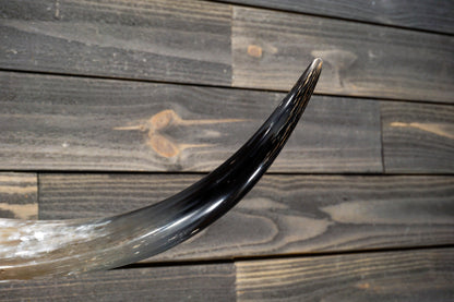 4' 7" Longhorn Wall Mount #232