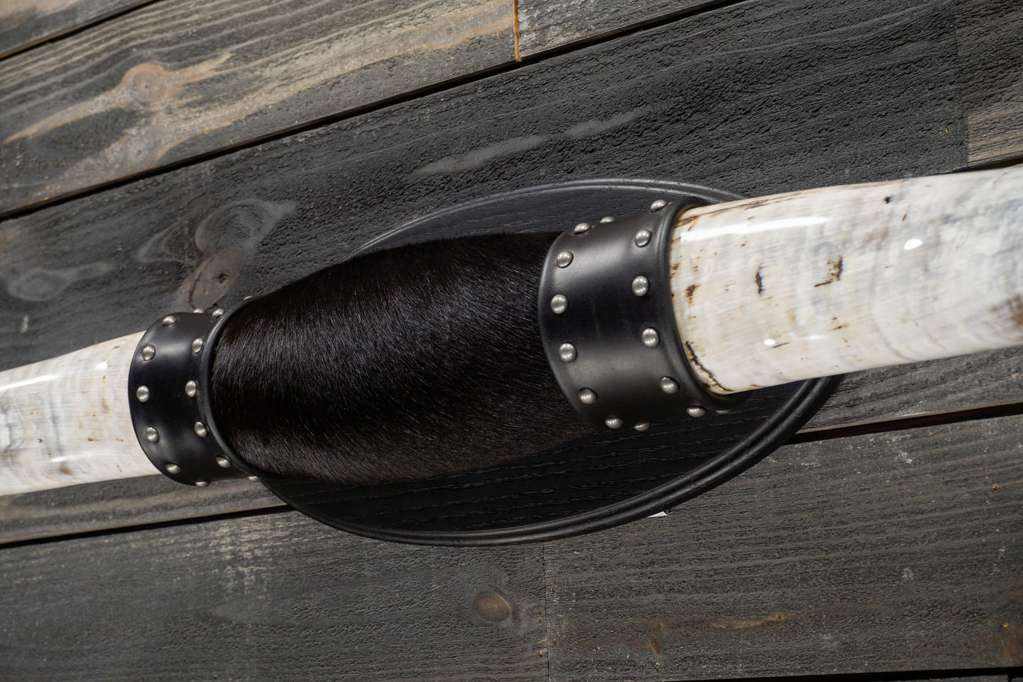 4' 7" Longhorn Wall Mount #232