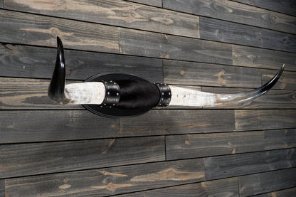 4' 7" Longhorn Wall Mount #232