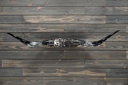5' 1" Longhorn Wall Mount #276