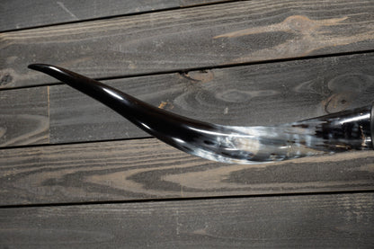 5' 1" Longhorn Wall Mount #276