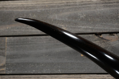 5' 1" Longhorn Wall Mount #276
