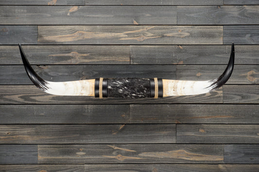 4' 1" Longhorn Wall Mount #287