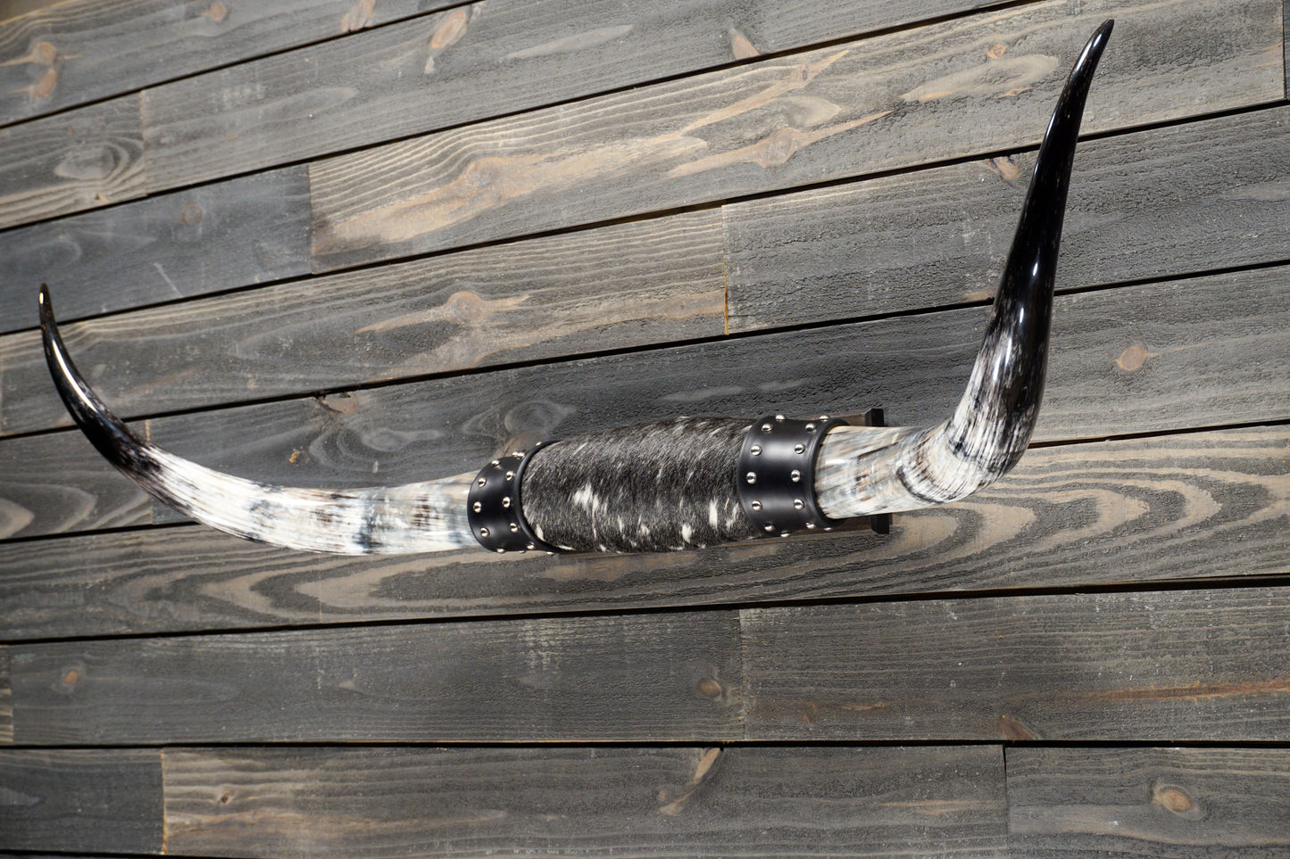 4' 5" Longhorn Wall Mount #303