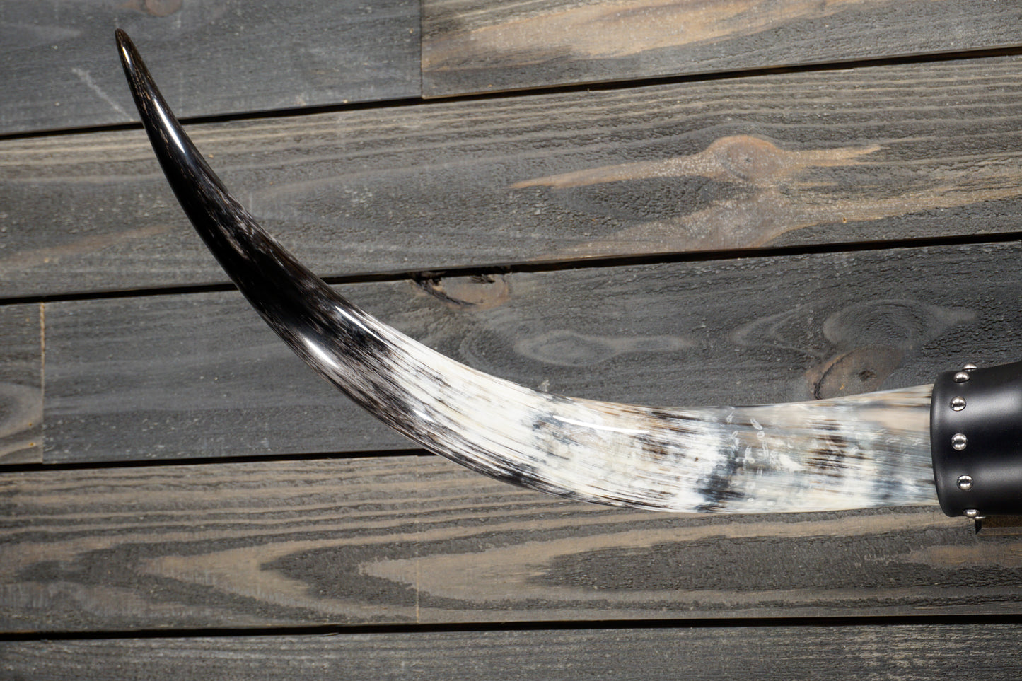 4' 5" Longhorn Wall Mount #303