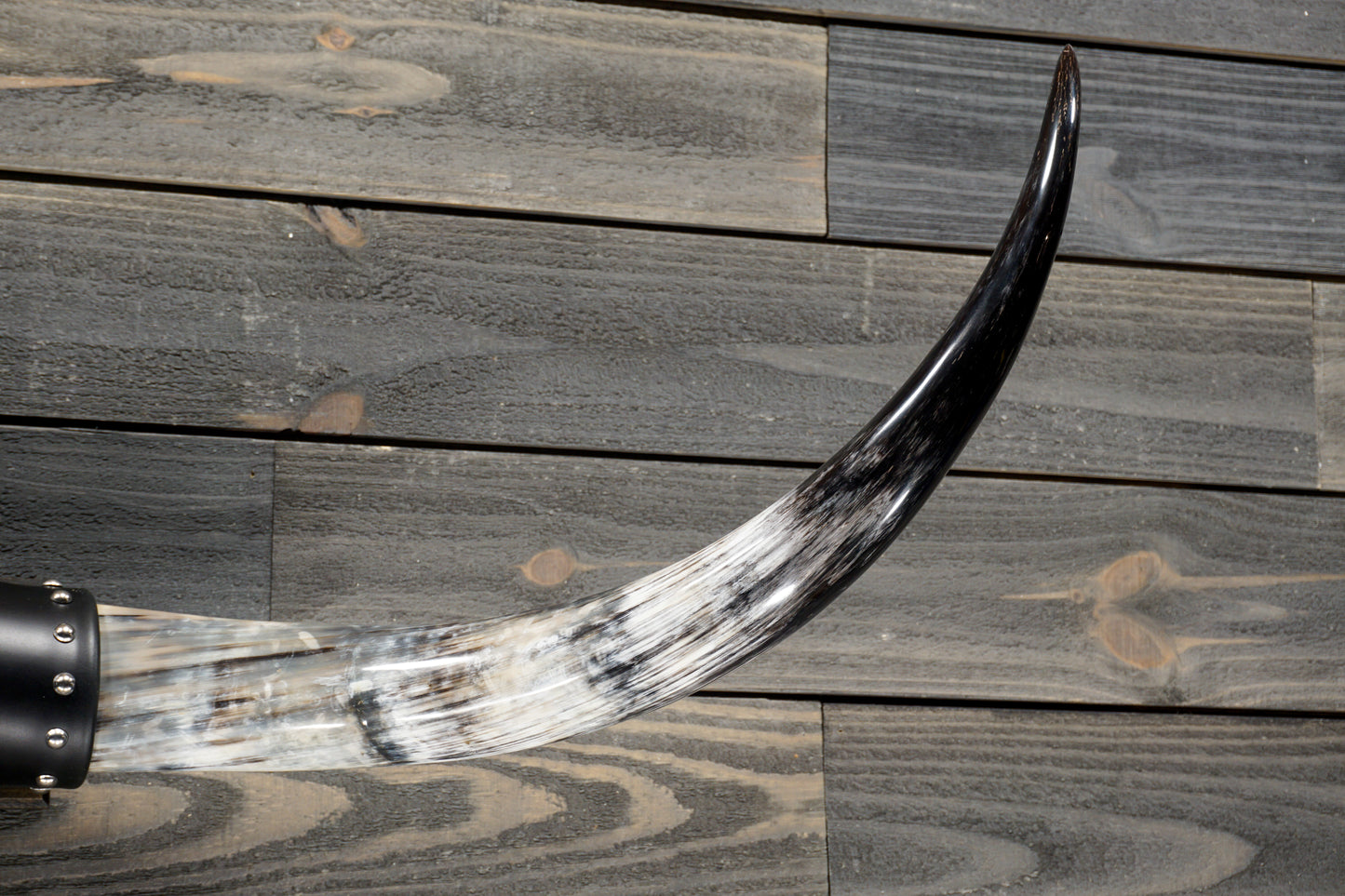 4' 5" Longhorn Wall Mount #303