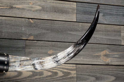 4' 5" Longhorn Wall Mount #303