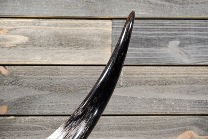 4' 5" Longhorn Wall Mount #303